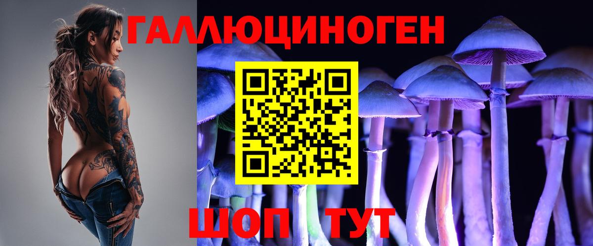Псилоцибиновые грибы GOLDEN TEACHER  Вход с VPN  Алатырь 